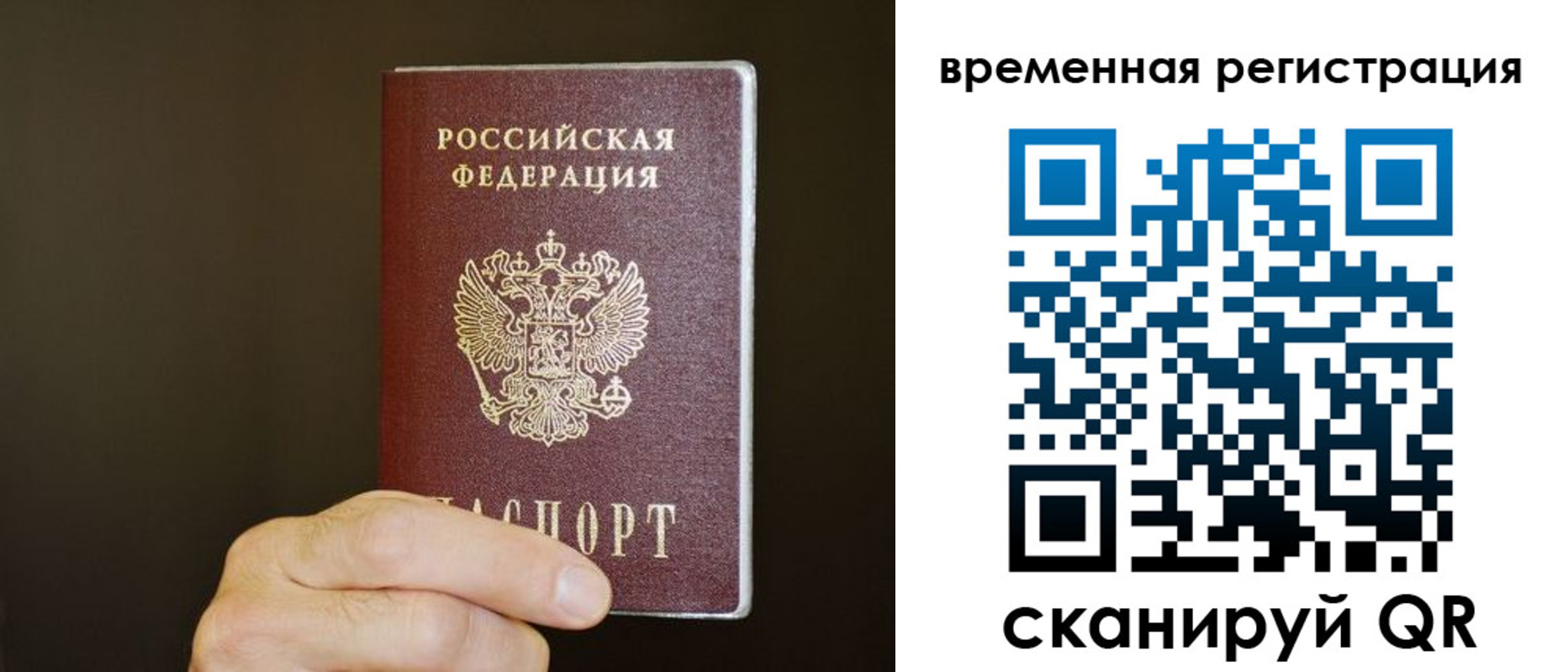 прописка гарантия в Апатитах